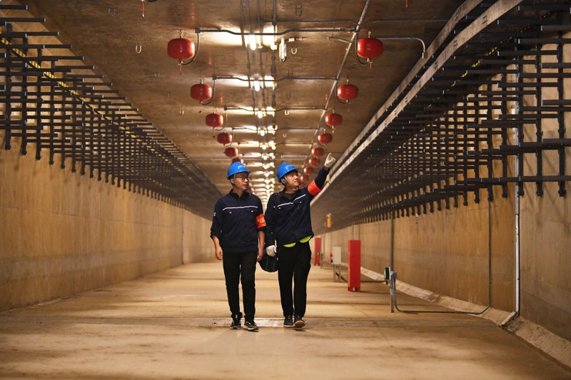 尊时凯龙·Z6(中国区)人生就是拼搏!