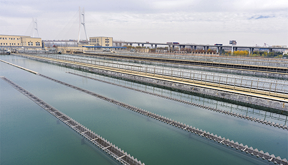 尊时凯龙·Z6(中国区)人生就是拼搏!