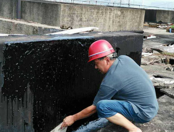 尊时凯龙·Z6(中国区)人生就是拼搏!