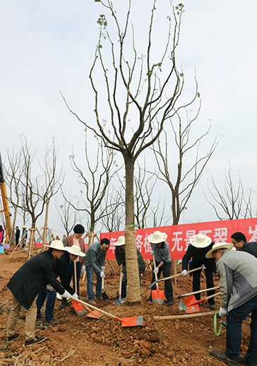 尊时凯龙·Z6(中国区)人生就是拼搏!