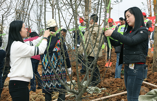 尊时凯龙·Z6(中国区)人生就是拼搏!