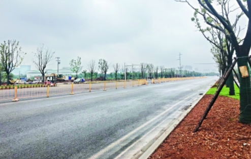 尊时凯龙·Z6(中国区)人生就是拼搏!