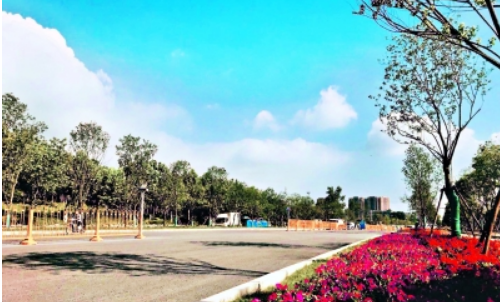 尊时凯龙·Z6(中国区)人生就是拼搏!